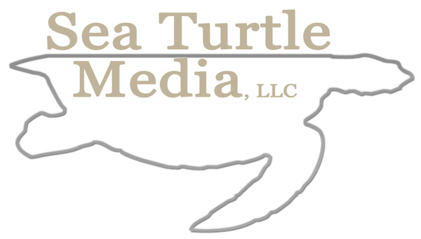 Sea Turtle Media Logo